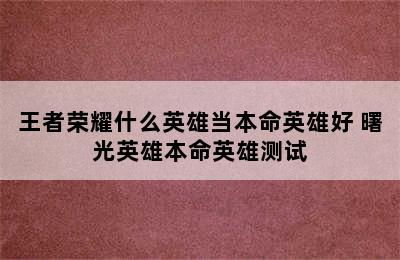 王者荣耀什么英雄当本命英雄好 曙光英雄本命英雄测试